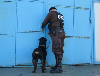 10 codes for security guards ontario