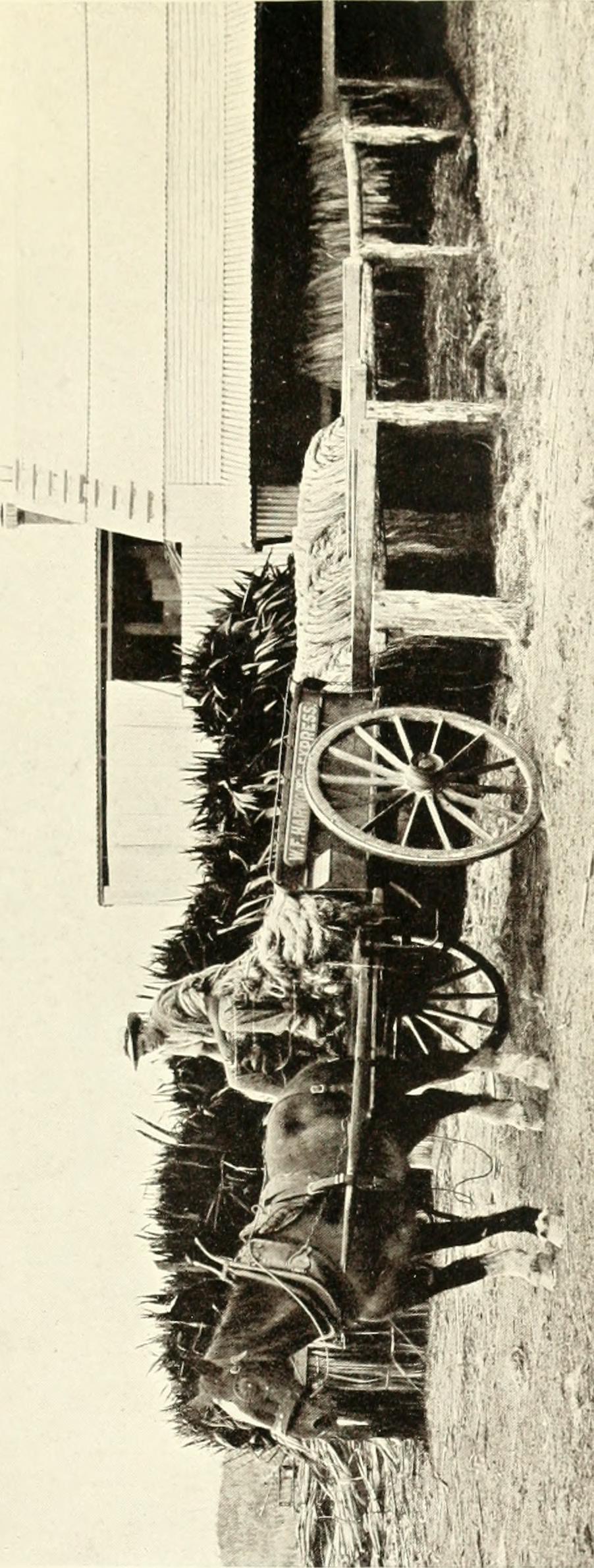 Image from page 120 of "New Zealand in evolution, industrial, economic and political;" (1909) by Internet Archive Book Images / No known copyright restrictions Image from page 120 of "New Zealand in evolution, industrial, economic and political;" (1909)