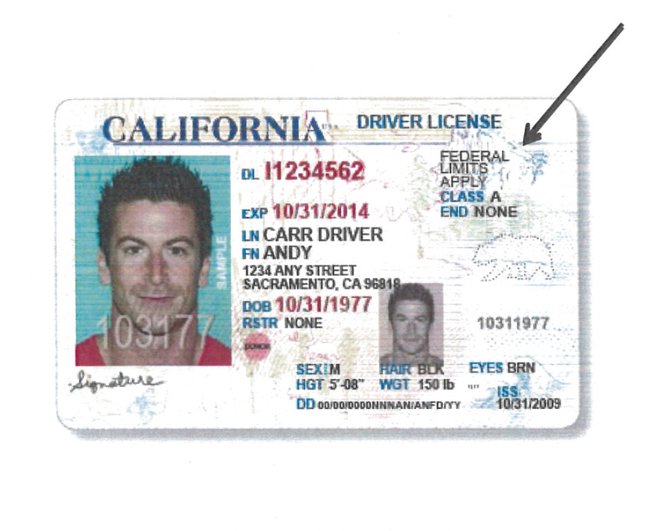 california drivers license renewal