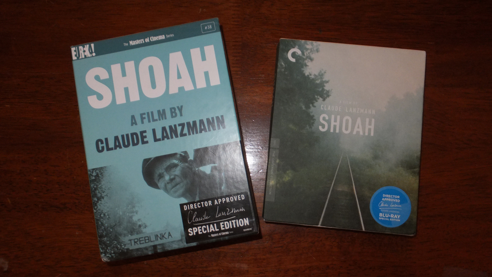 Cineaste365 (January 20, 2014 - DAY 101) - "SHOAH" - Claude Lanzmann