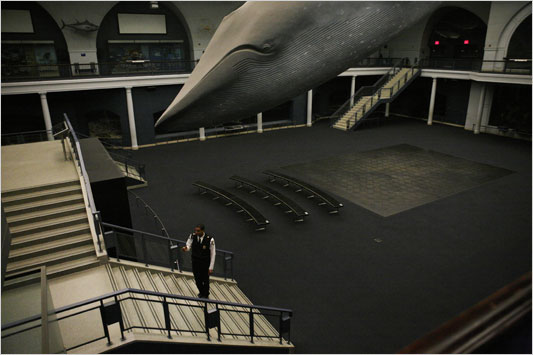 Night Shift | American Museum of Natural History - NYTimes.com