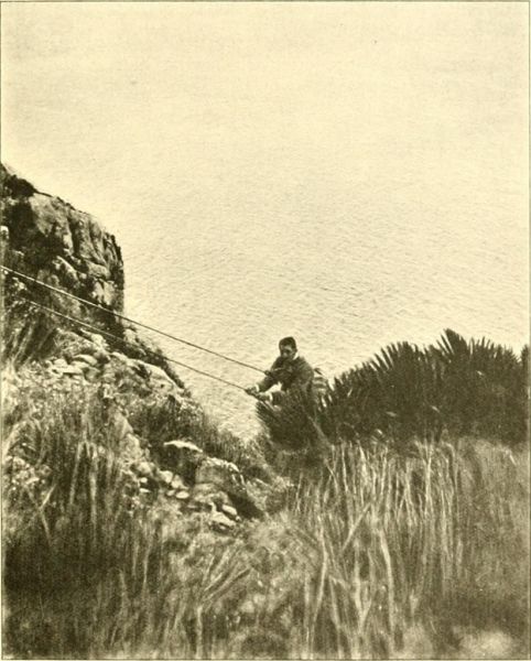 Image from page 316 of "My life among the wild birds in Spain" (1909)