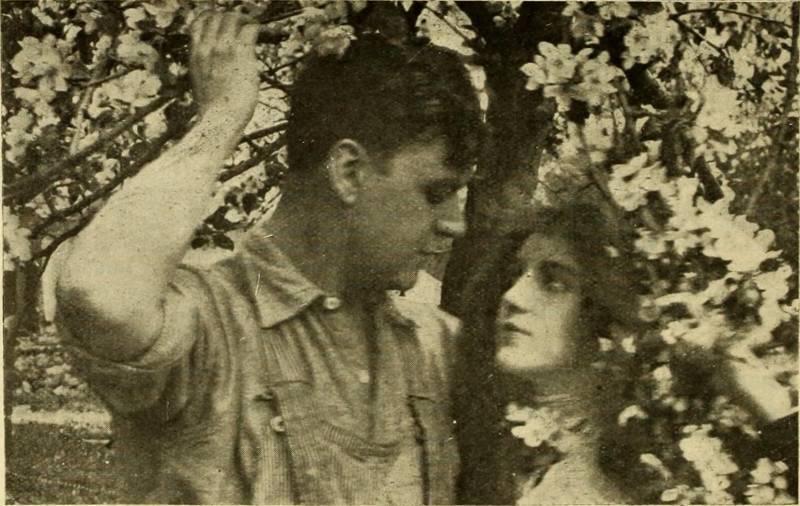 Image from page 459 of "Cinema News and Property Gazette (1912)" (1912)