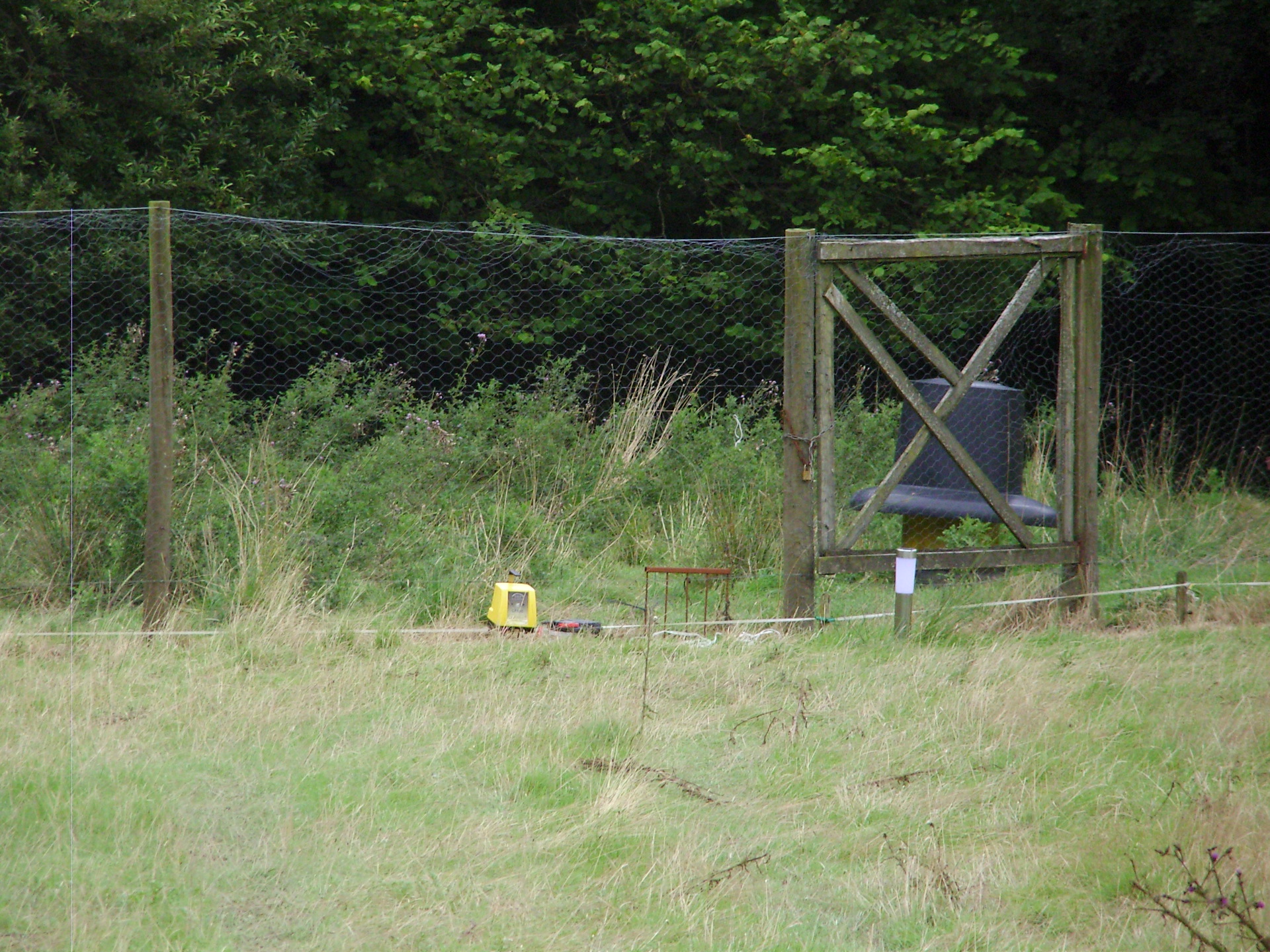 electric fence gives a jolt
