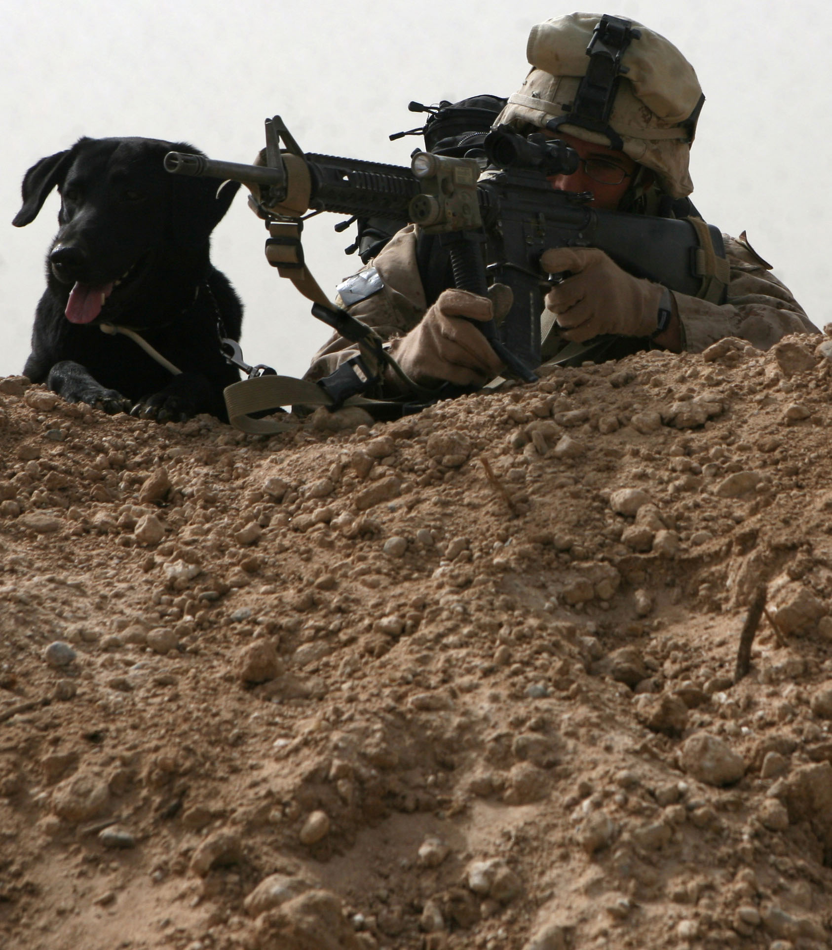 A Marine and his best friend