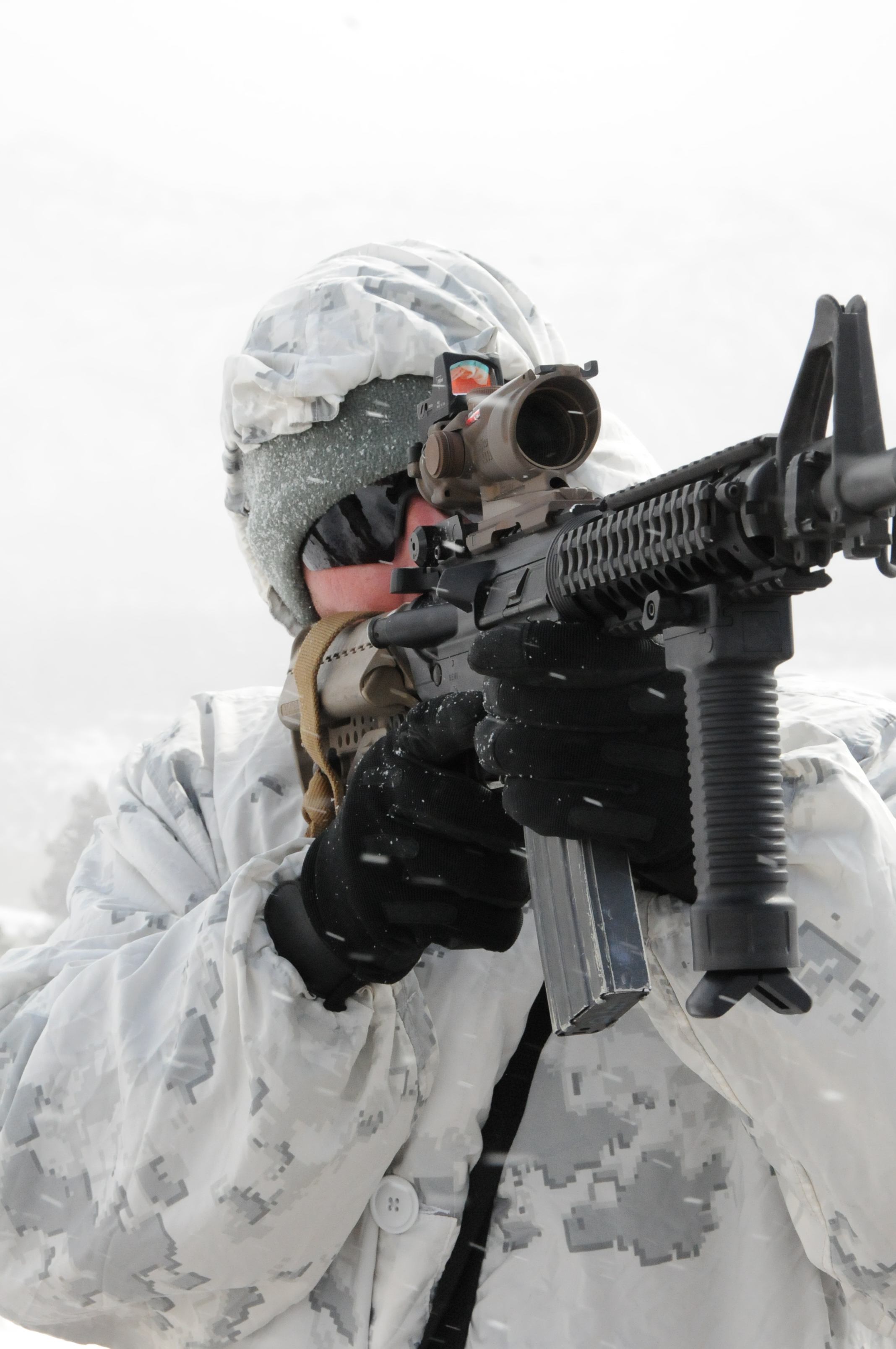 Infantry assault chemical camp at Mountain Warfare Training Center [Image 2 of 27]