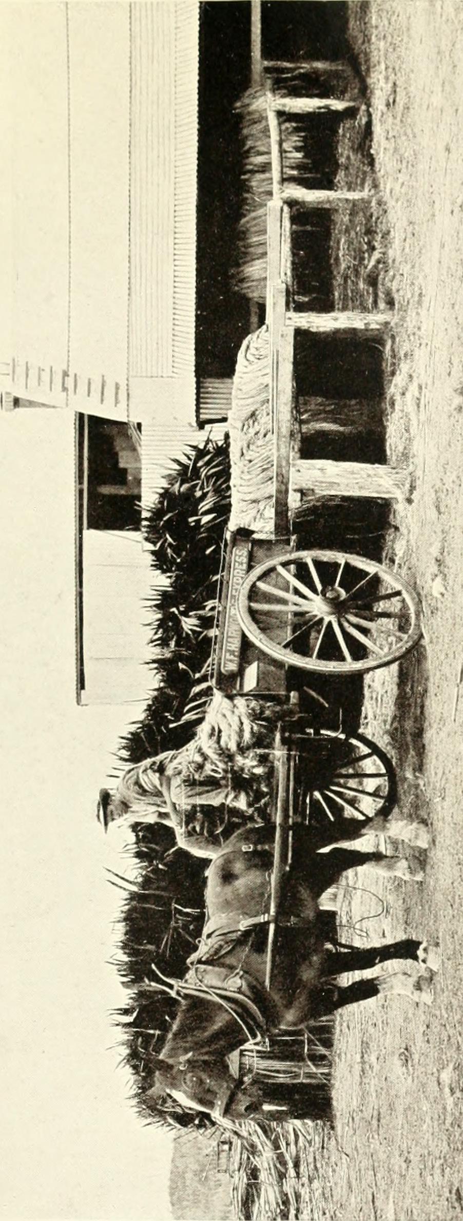 Image from page 120 of "New Zealand in evolution, industrial, economic and political;" (1909)