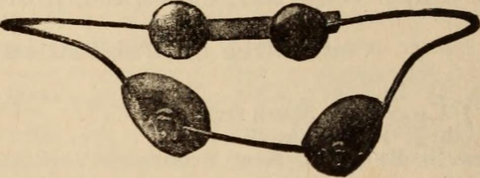 Image from page 459 of "Journal of the Medical Society of New Jersey" (1922)