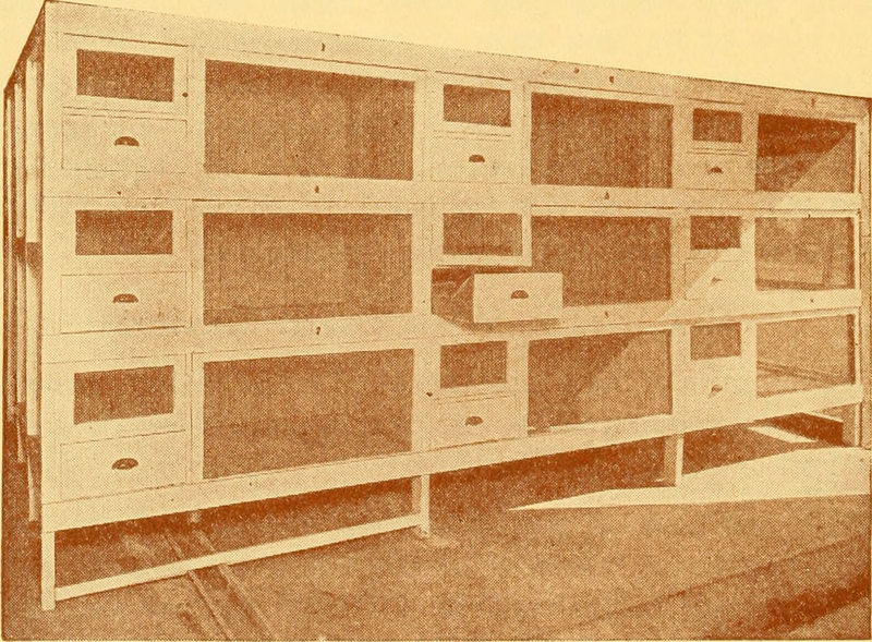 Image from page 17 of "Outdoor opportunities; the raising care of small animals, birds and plants; a practical treatise on the raising and care of small animals, birds and plants for profit and pleasure" (1922) by Internet Archive Book Images / No known copyright restrictions Image from page 17 of "Outdoor opportunities; the raising care of small animals, birds and plants; a practical treatise on the raising and care of small animals, birds and plants for profit and pleasure" (1922)