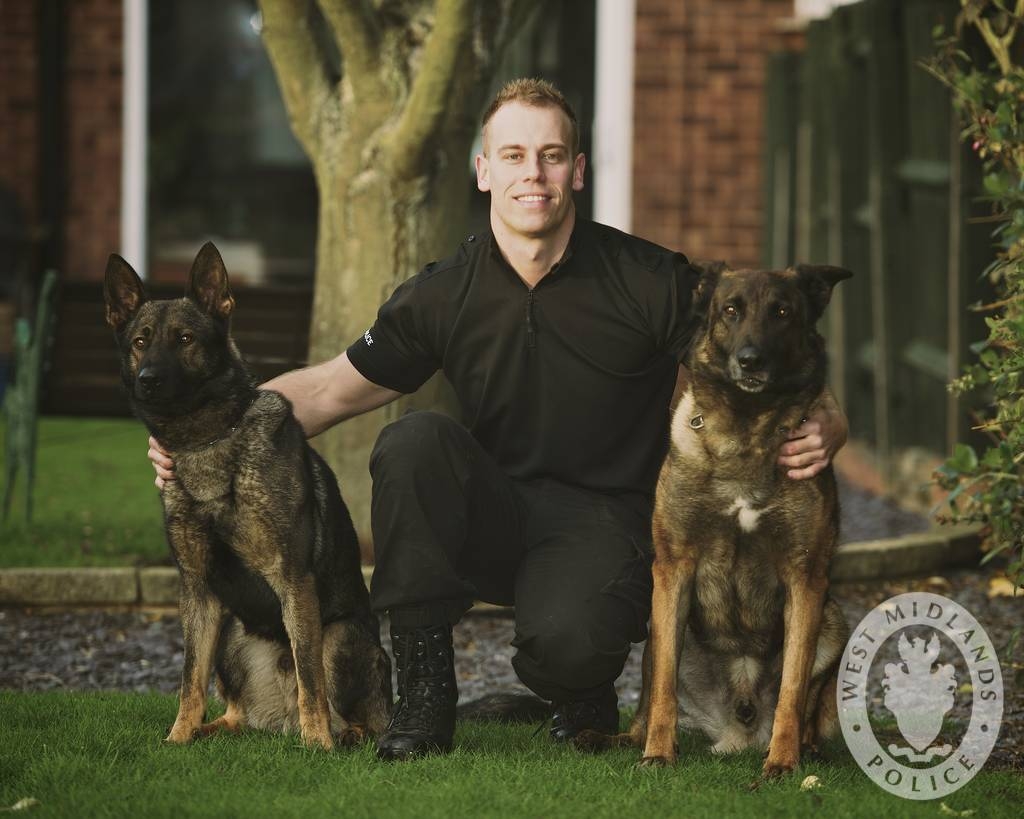 Day 310 - West Midlands Police - Retiring police dog Janus and new recruit by West Midlands Police / CC BY-SA 2.0 Day 310 - West Midlands Police - Retiring police dog Janus and new recruit