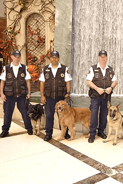 Craigslist Las Vegas Security Jobs - Security Guards Companies