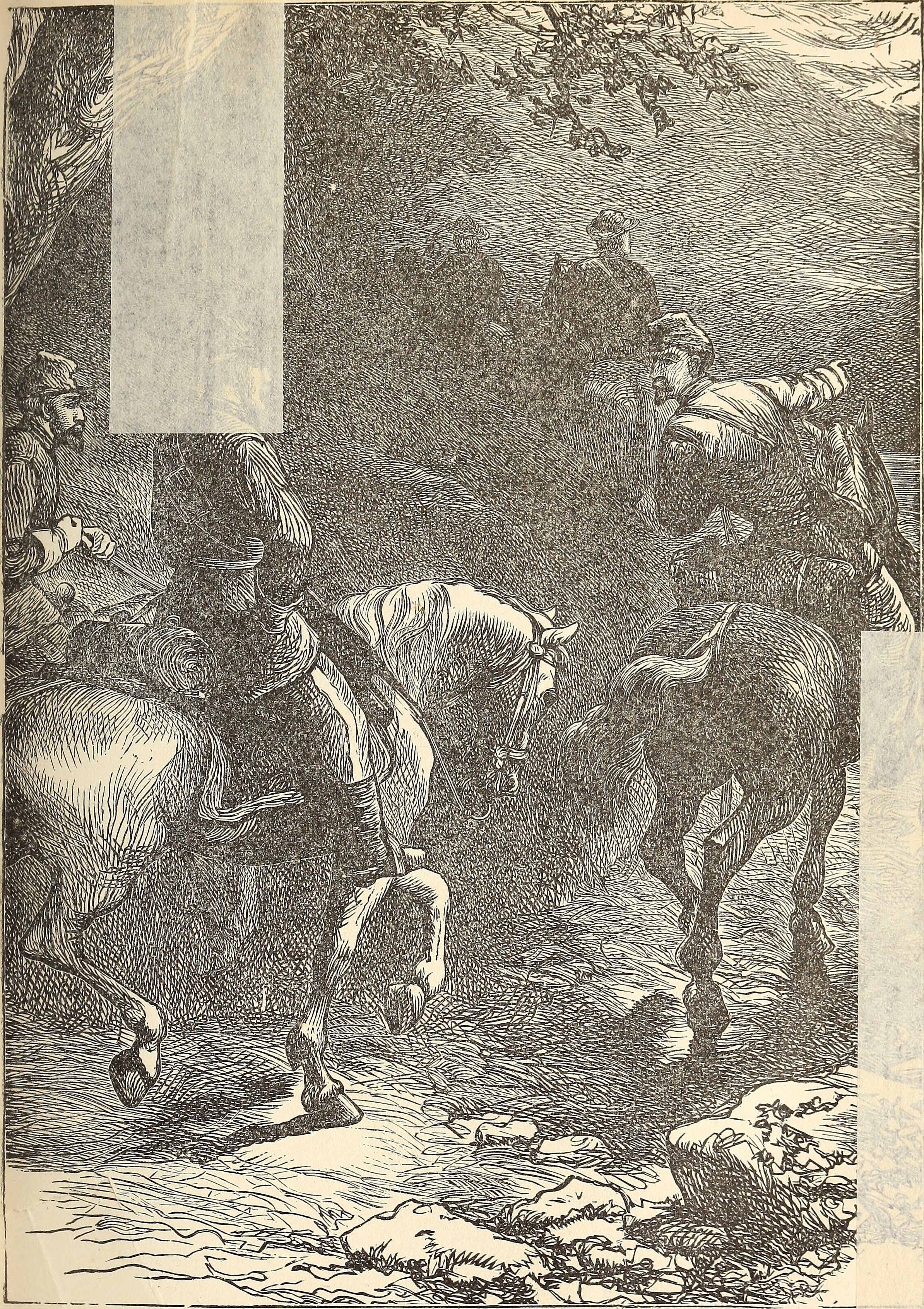 Image from page 278 of "The boys of '61; or, Four years of fighting. Personal observation with the army and navy, from the first battle of Bull run to the fall of Richmond" (1884)