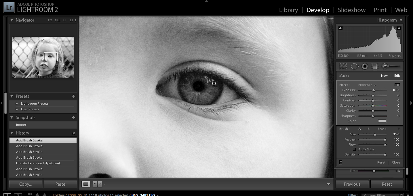 Lightroom 2.0 Allows Spot Processing