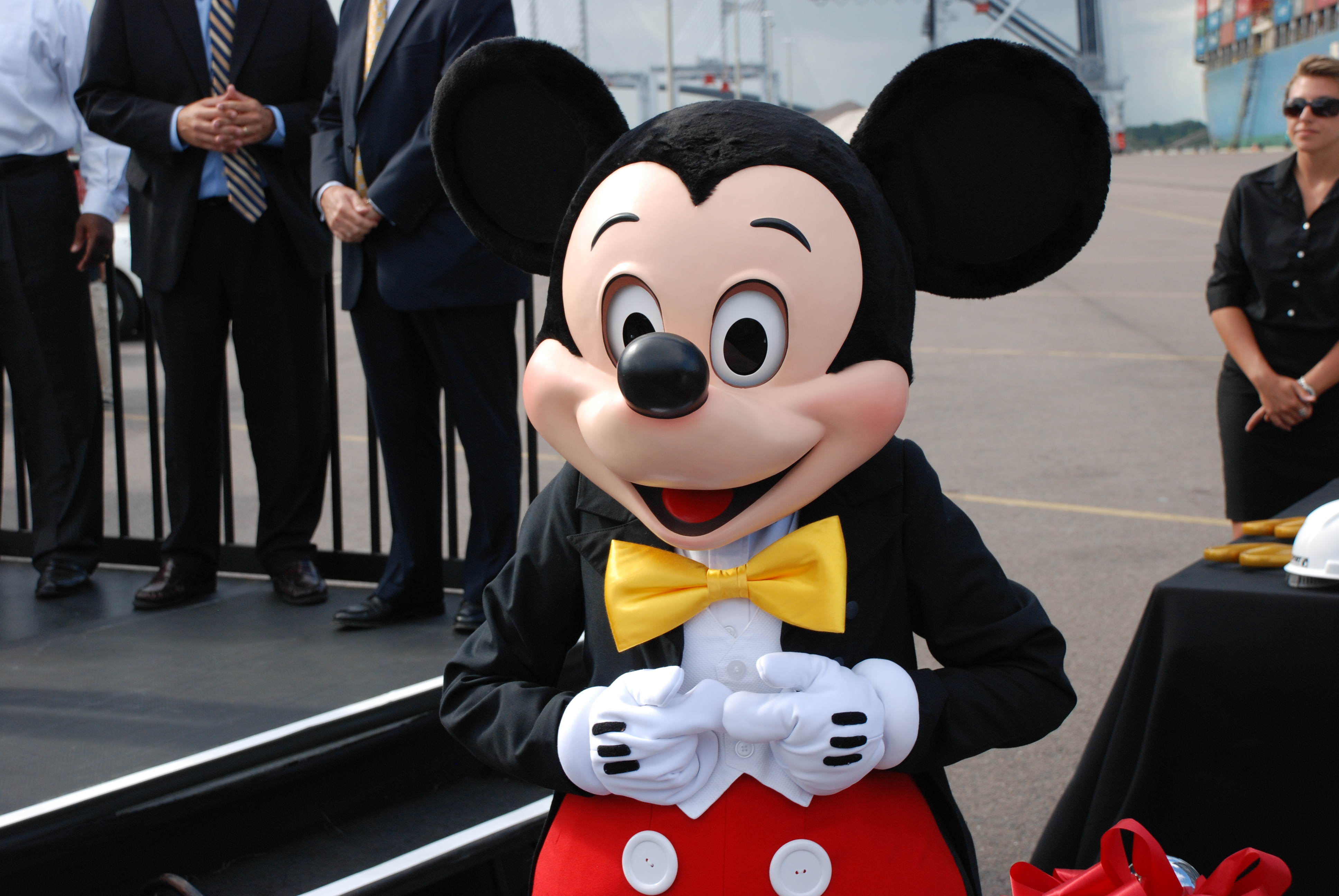 disney cruise vacancy