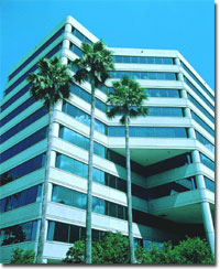 Commercial Window Tinting - Brians Florida