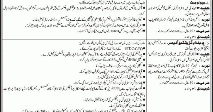 Jobs-in-Govt-of-Sindh-Power-Energy-Sector-2015-For-Financial-Analyst-And-Legal-Consultant