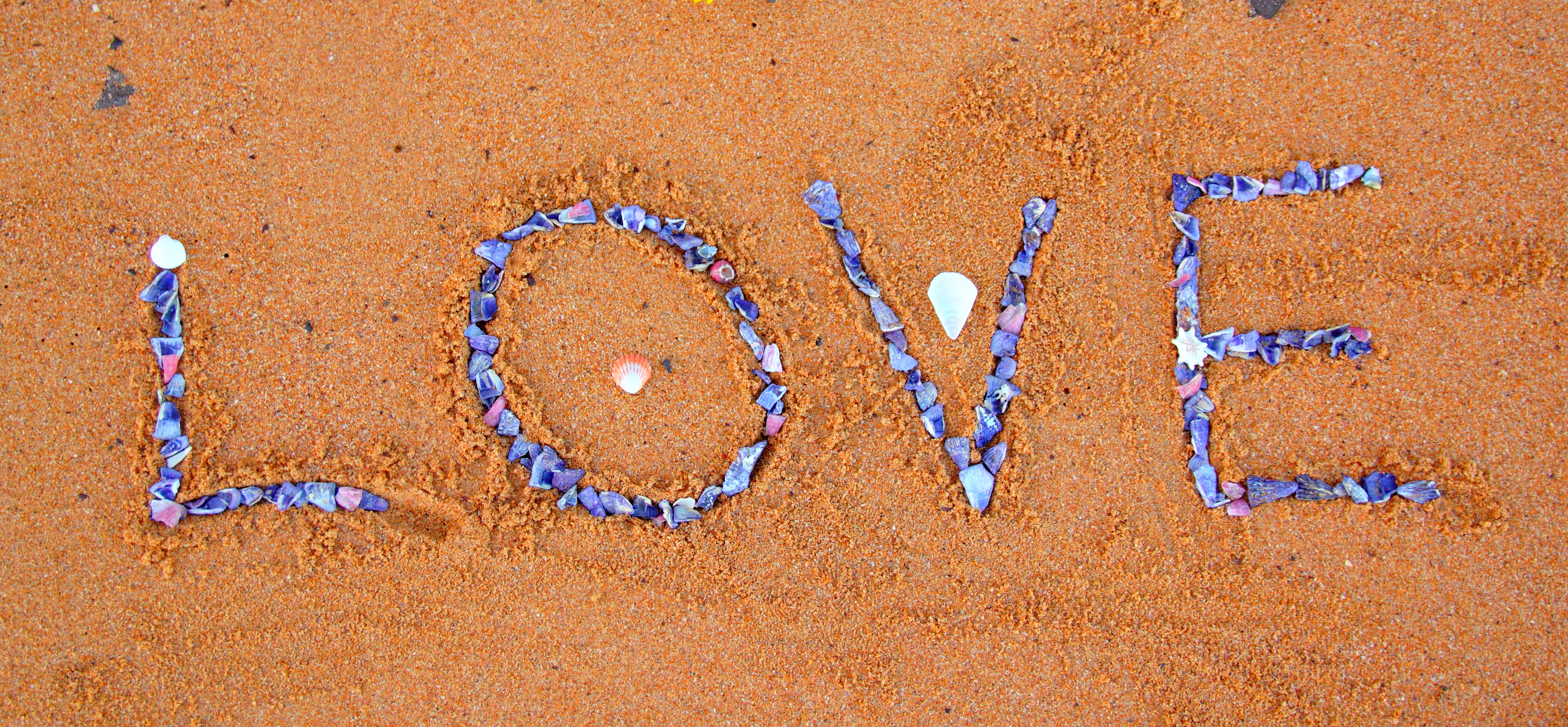 Picture of the word love in colourful purple shells