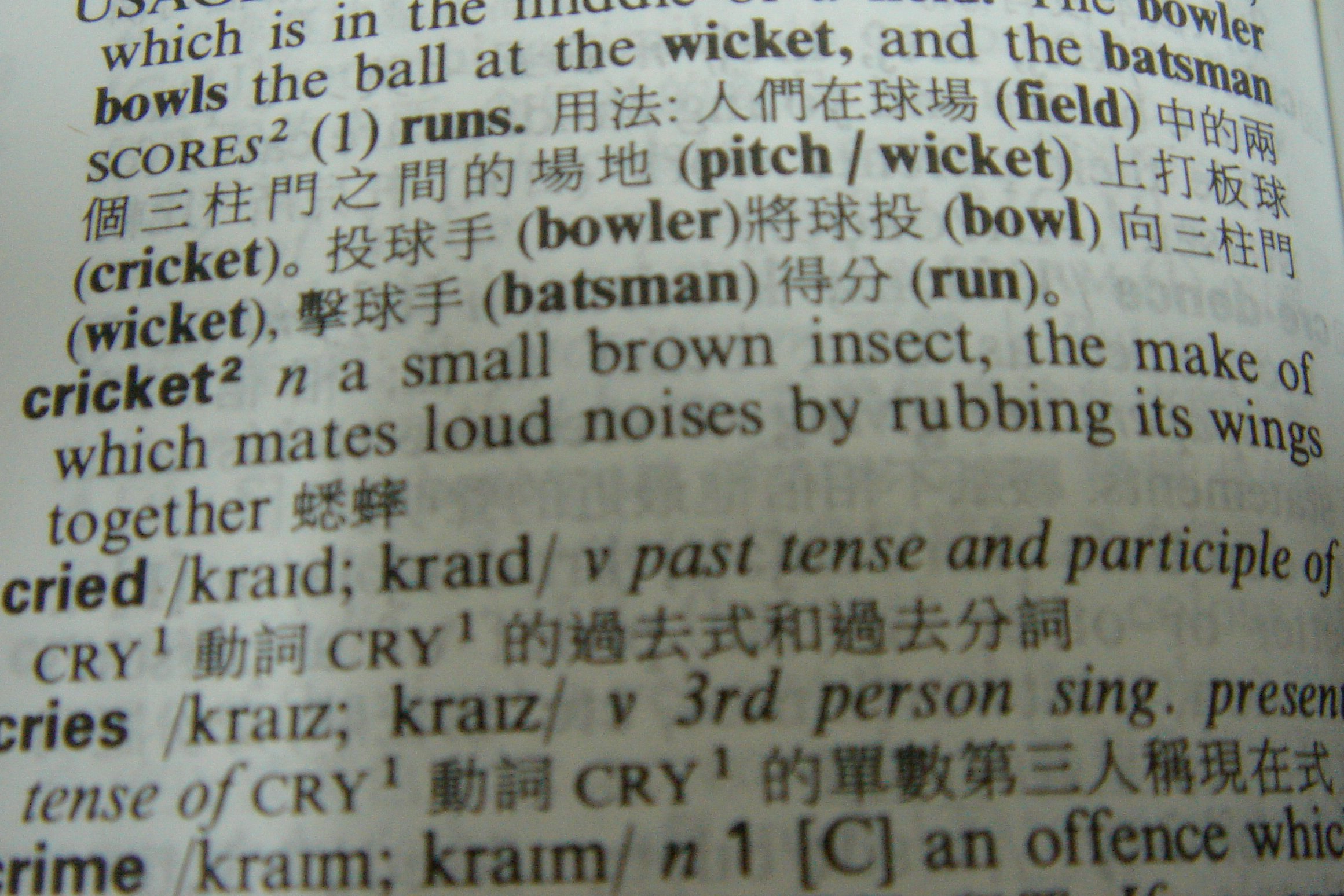 cricket by Wm Jas / CC BY-SA 2.0 cricket
