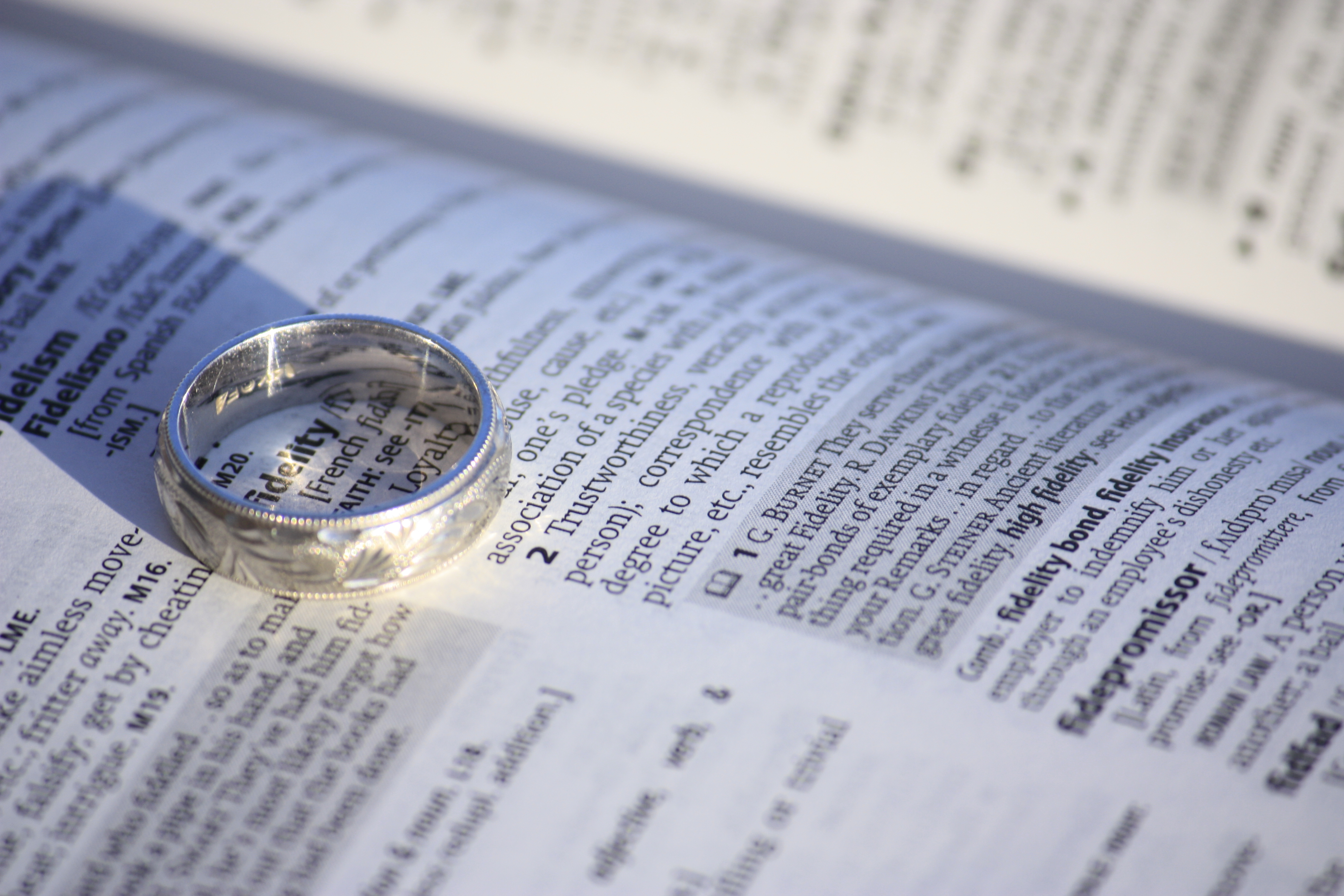 Fidelity by ninniane / CC BY-NC 2.0 Fidelity