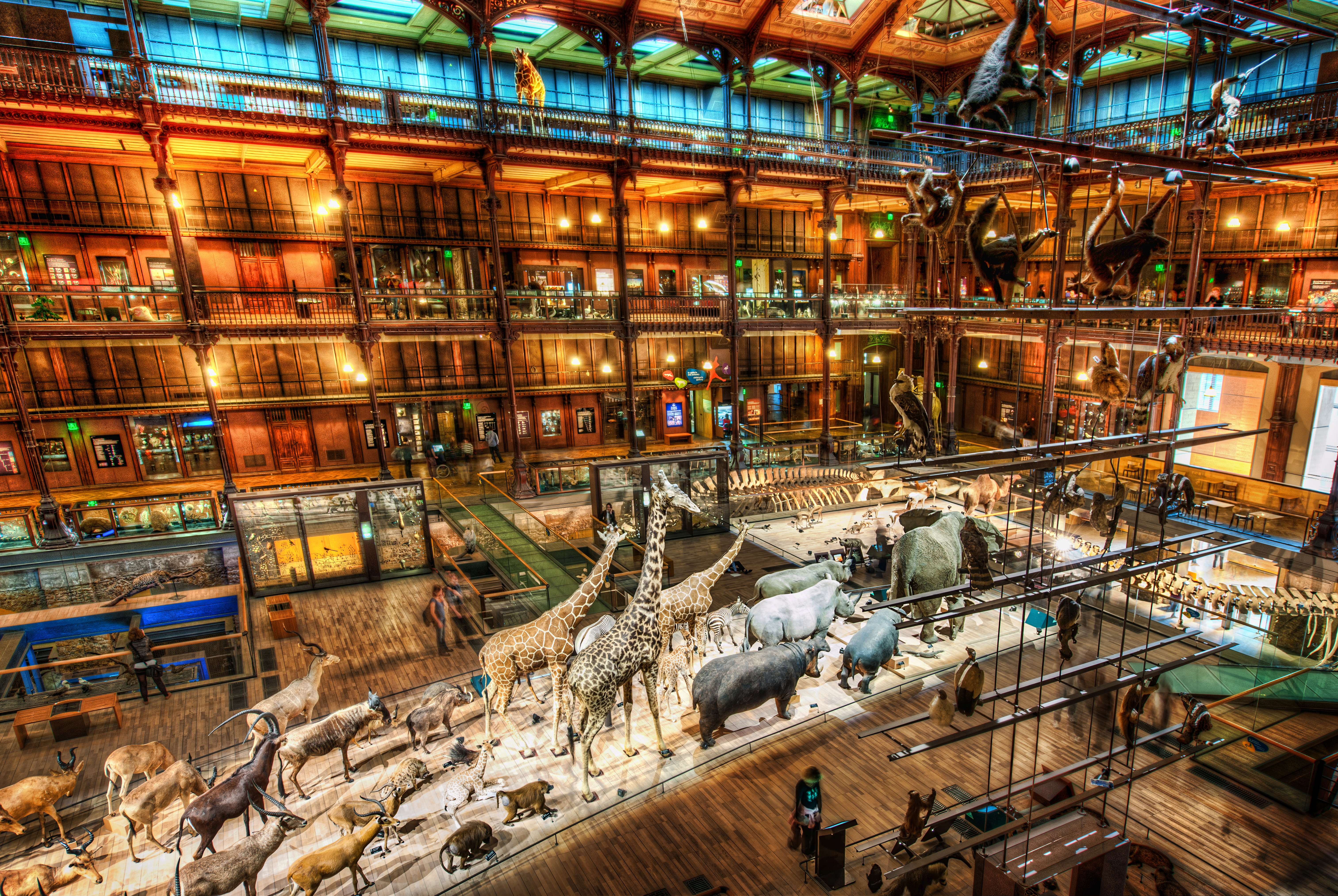 A Night at the Museum by Stuck in Customs / CC BY-NC-SA 2.0 A Night at the Museum