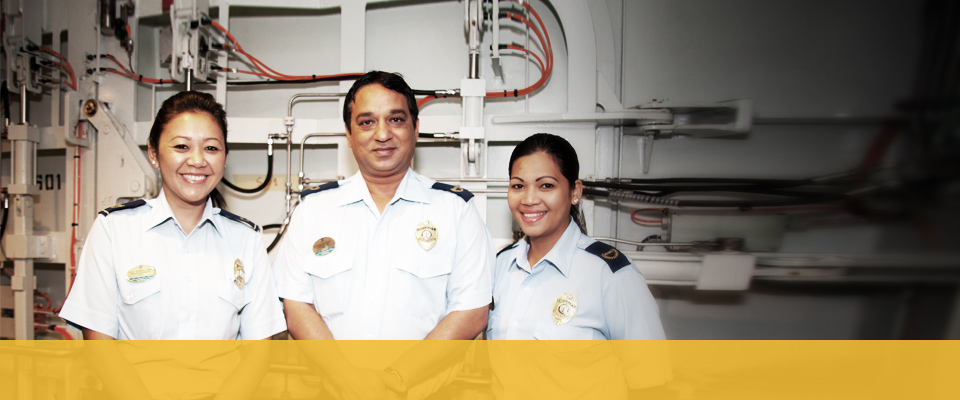 Royal caribbean cruise security jobs