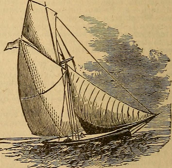 Image from page 525 of "Webster's practical dictionary; a practical dictionary of the English language giving the correct spelling, pronunciation and definitions of words based on the unabridged dictionary of Noah Webster .." (1910) by Internet Archive Book Images / No known copyright restrictions Image from page 525 of "Webster's practical dictionary; a practical dictionary of the English language giving the correct spelling, pronunciation and definitions of words based on the unabridged dictionary of Noah Webster .." (1910)