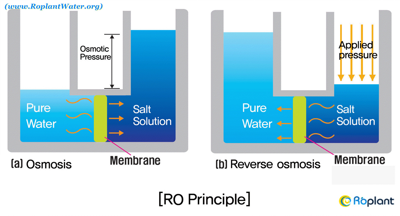 Reverse_Osmosis(2)